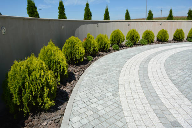 Best Luxury Driveway Paving Solutions in USA